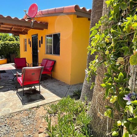 Rancho El Campanario En La Ruta Del Vino Vandrehjem Guadalupe Eksteriør billede