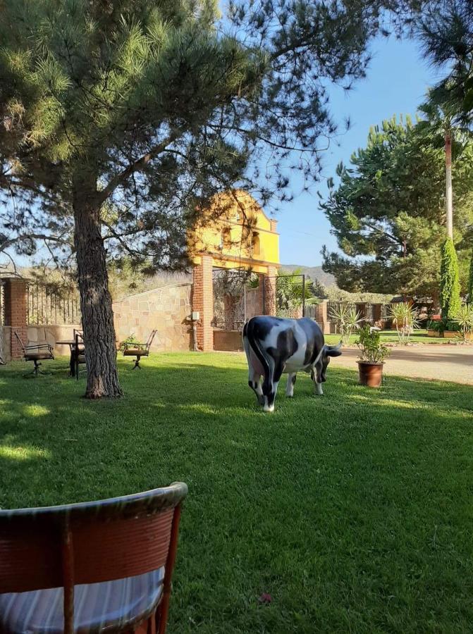 Rancho El Campanario En La Ruta Del Vino Vandrehjem Guadalupe Eksteriør billede