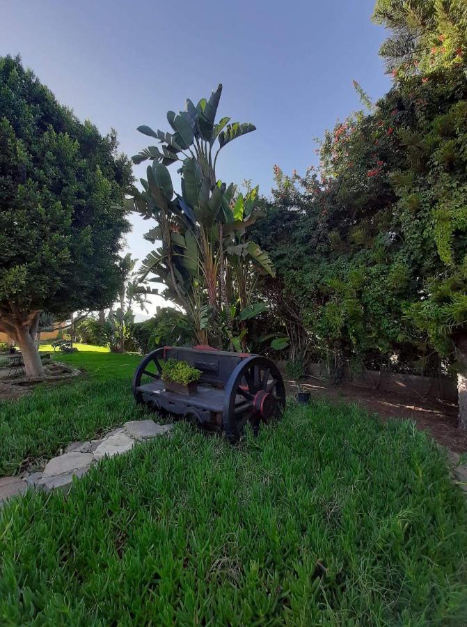 Rancho El Campanario En La Ruta Del Vino Vandrehjem Guadalupe Eksteriør billede