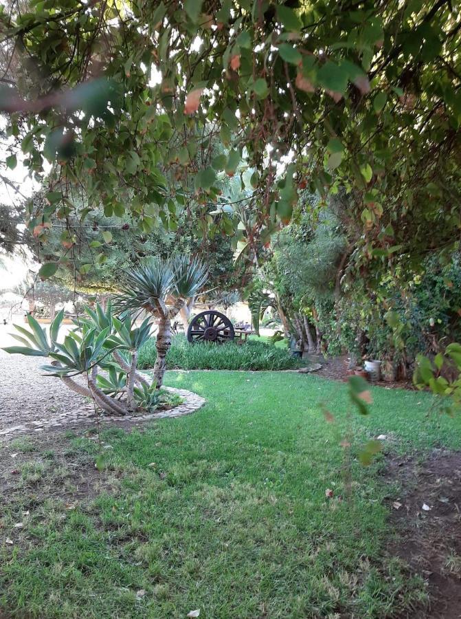 Rancho El Campanario En La Ruta Del Vino Vandrehjem Guadalupe Eksteriør billede