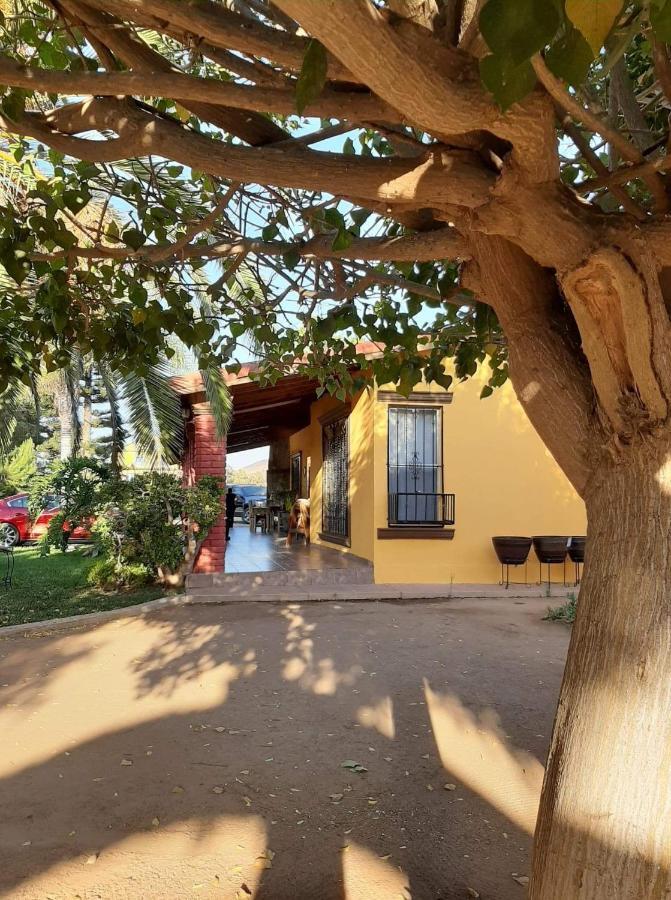 Rancho El Campanario En La Ruta Del Vino Vandrehjem Guadalupe Eksteriør billede