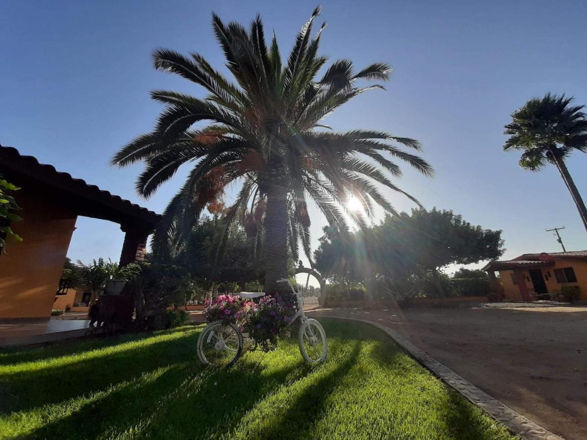 Rancho El Campanario En La Ruta Del Vino Vandrehjem Guadalupe Eksteriør billede