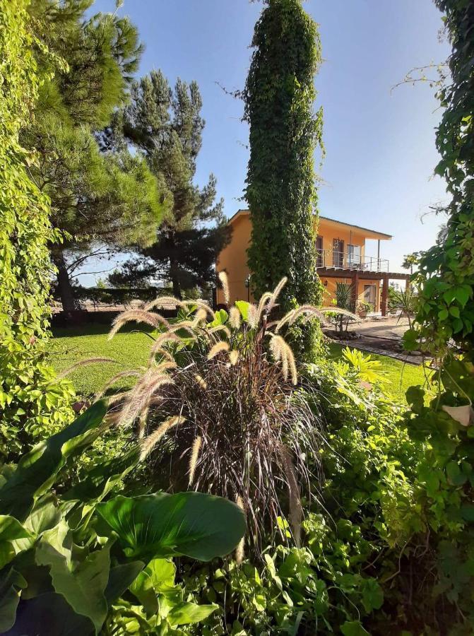 Rancho El Campanario En La Ruta Del Vino Vandrehjem Guadalupe Eksteriør billede