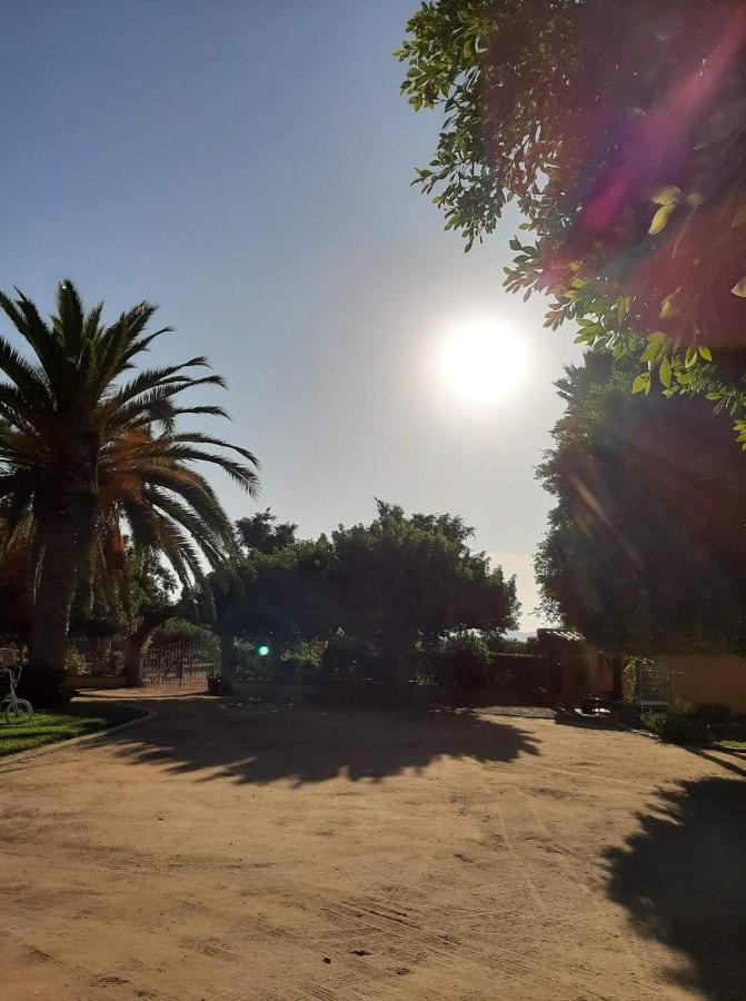 Rancho El Campanario En La Ruta Del Vino Vandrehjem Guadalupe Eksteriør billede
