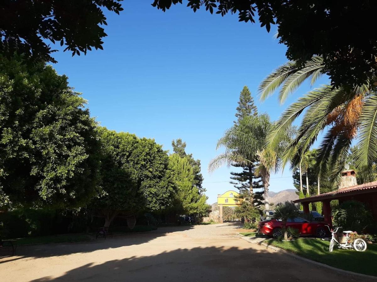 Rancho El Campanario En La Ruta Del Vino Vandrehjem Guadalupe Eksteriør billede