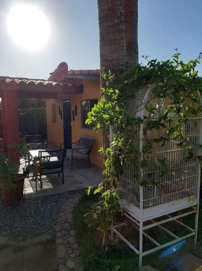 Rancho El Campanario En La Ruta Del Vino Vandrehjem Guadalupe Eksteriør billede