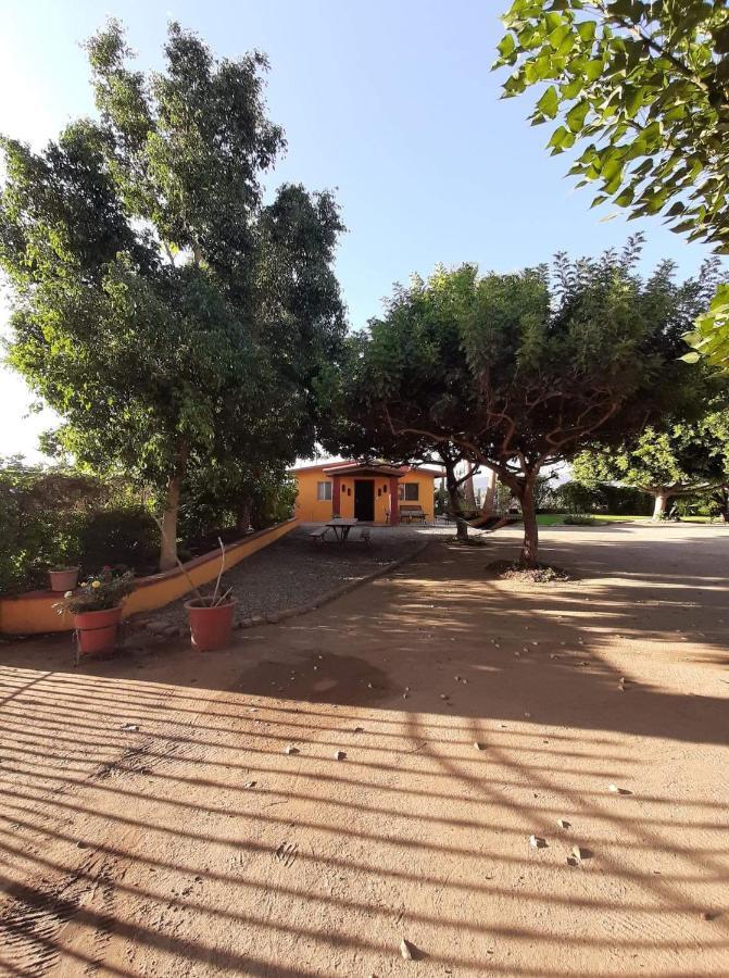 Rancho El Campanario En La Ruta Del Vino Vandrehjem Guadalupe Eksteriør billede