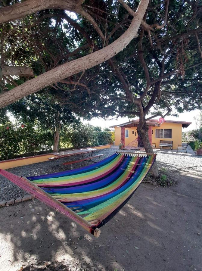 Rancho El Campanario En La Ruta Del Vino Vandrehjem Guadalupe Eksteriør billede